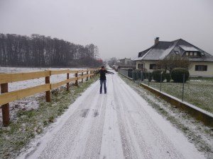 First snow walk of the season.