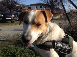 Namo got a bit quieter toward the end