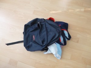 Small backpack I need to carry during summer.