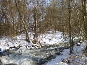 It can be very pretty... but you have to rug up