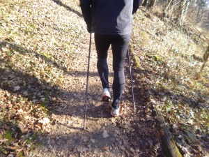 Nordic walking Austria