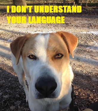 German job interview