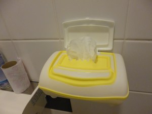 wetwipes in toilet