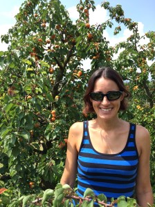 Check out all those crazy apriocts