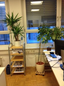 I don' think I want one, but the option is there!