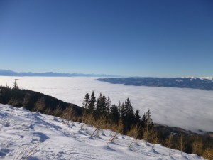 Living in a valley manes that often we're under that fog!