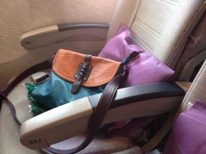 Essentials bag aeroplane