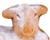 Look at those eyes...