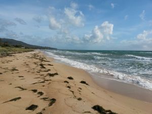 We made sure we had some time to walk on the beach... just the two of us