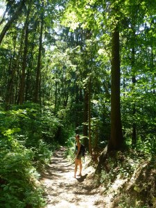 Hurry up guys... stop looking at the flowers!