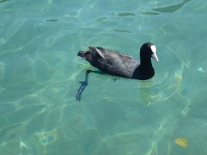 Once you get out deeper... it's not always as clear as this