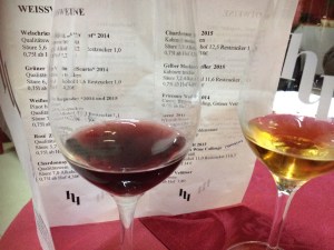 Which one shall I choose?