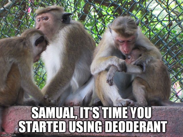 monkey memes - deoderant