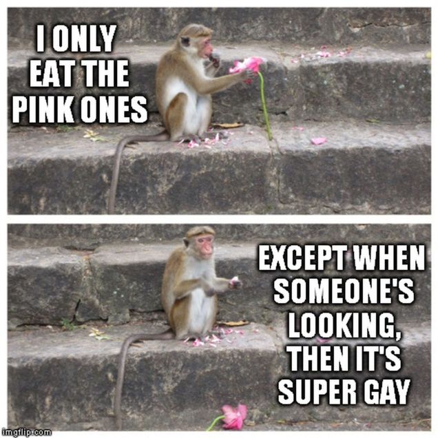 monkey meme - pink flowers