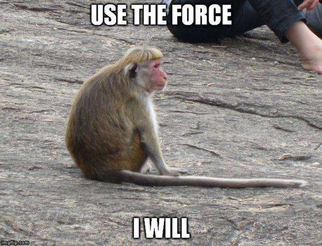 monkey memes - force