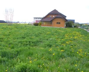 Austria Australia differences grass