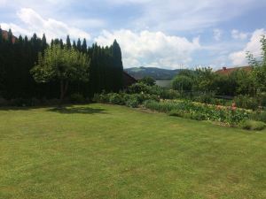 garden house vegetables