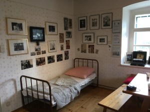 Arnold Schwarzenegger Museum