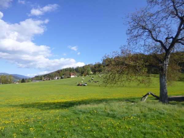 The hills are alive with poo