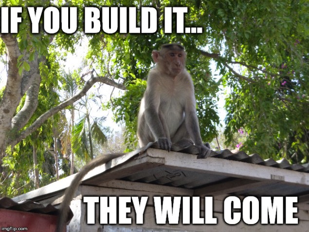 Monkey meme