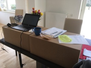 Backpain standing desk