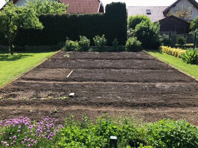 Gardening vegetables