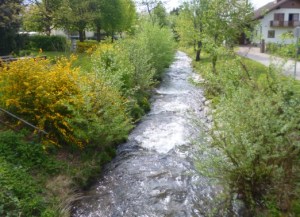 Wolfsberg - small streams
