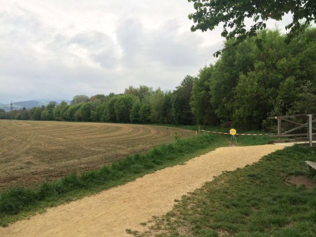 growing corn austria