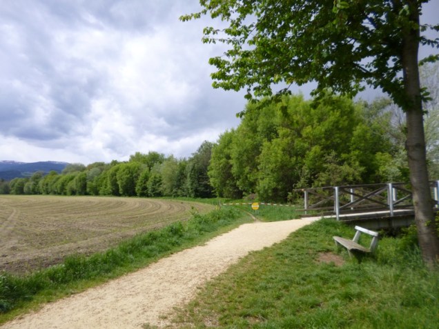 growing corn austria