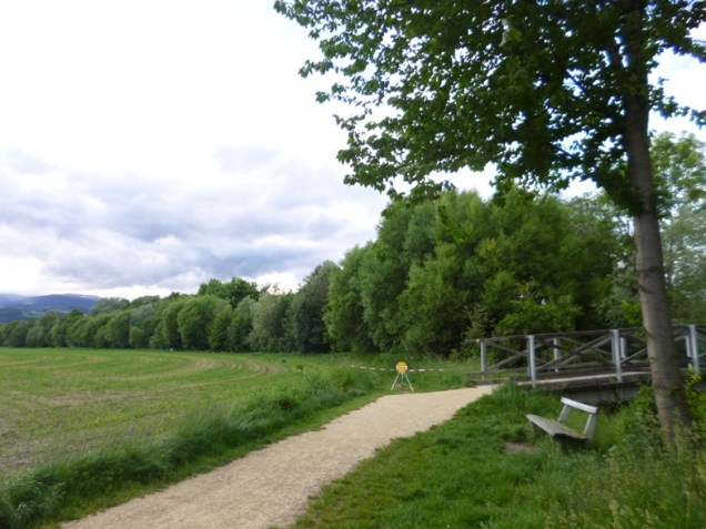 growing corn austria