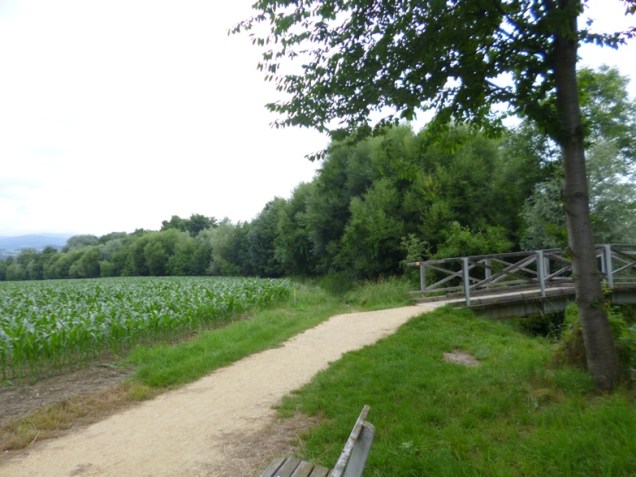 growing corn austria