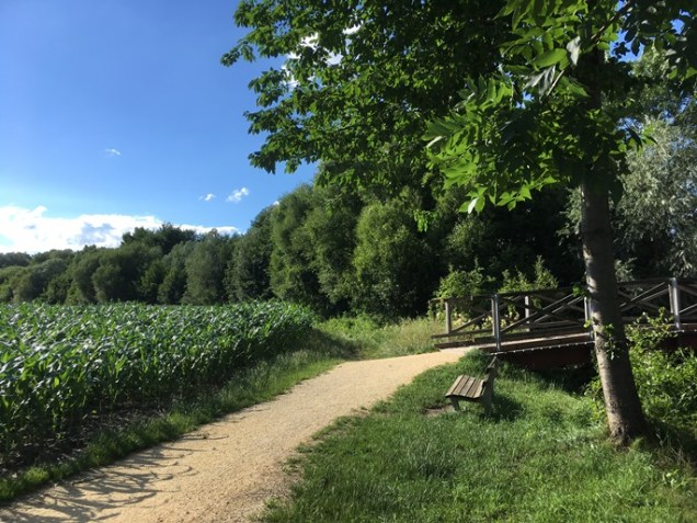 growing corn austria