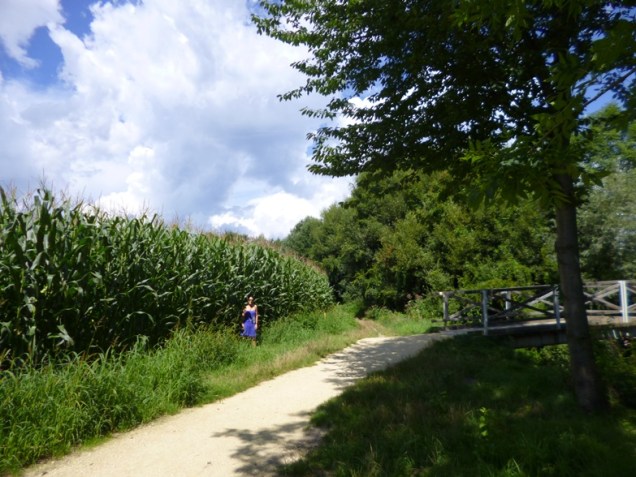 growing corn austria