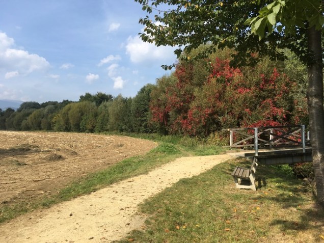 growing corn austria