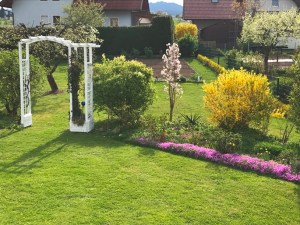 garden austria flowers