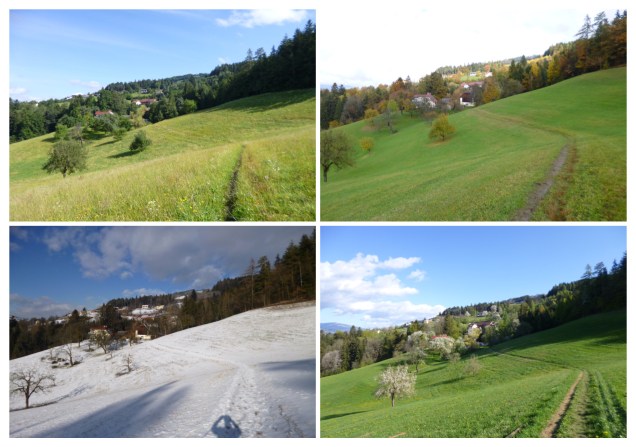 Four seasons summer winter autumn spring