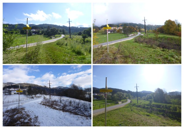 Four seasons summer winter autumn spring