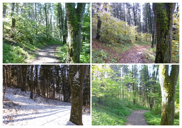 Four seasons summer winter autumn spring