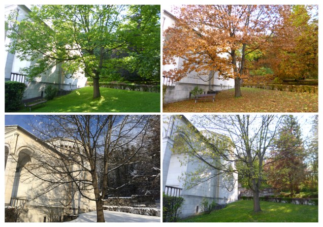 Four seasons summer winter autumn spring