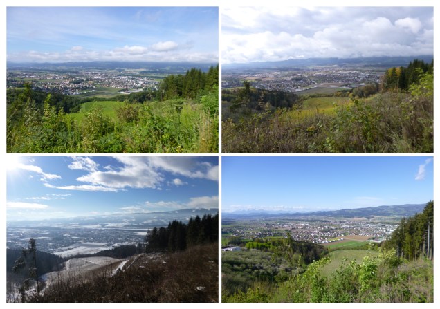 Four seasons summer winter autumn spring