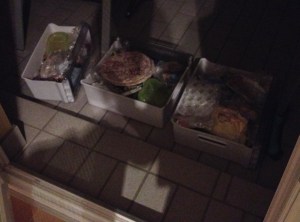 Winter freezer defrost outside