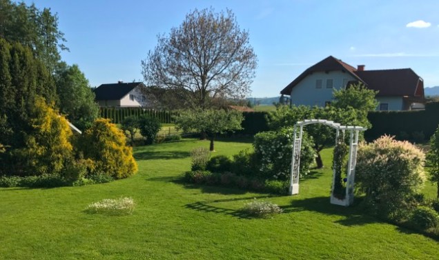mowing around the flowers