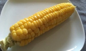 garden corn