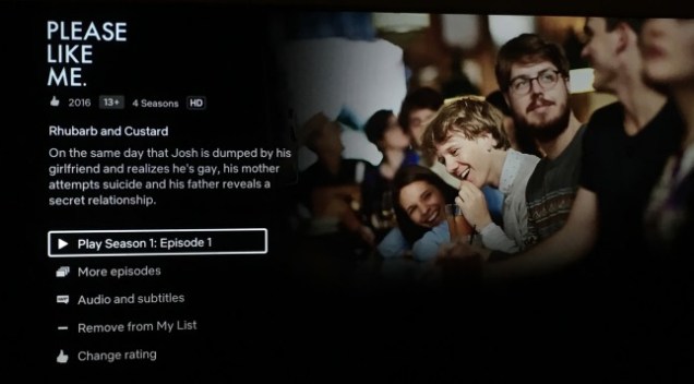 netflix Please Like Me