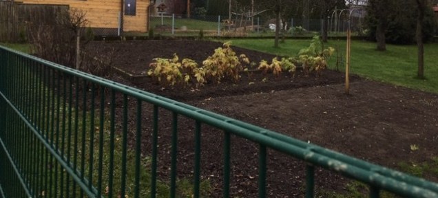 winter garden austria