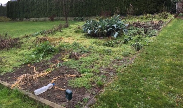 winter garden austria