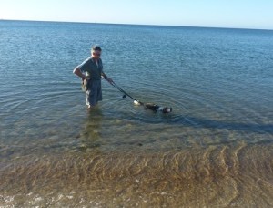 captain beagle swimming RIP