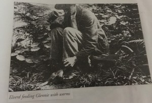 platypus Healesville Sanctuary