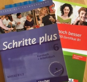 B1 german test books