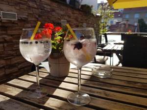 zagreb gin